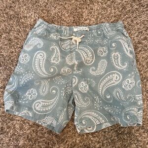 PacSun Men’s Paisley Volley Shorts Blue Green Size S